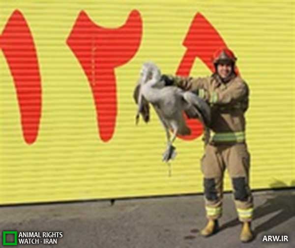 Animal-Rights-Watch--ARW-1-1258