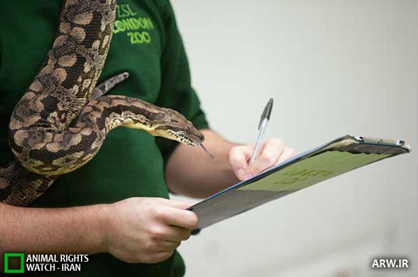 Animal-Rights-Watch--ARW-1-1278