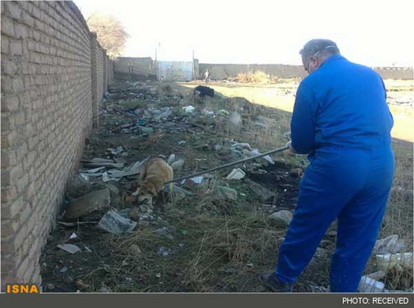 Animal-Rights-Watch--ARW-1-1307