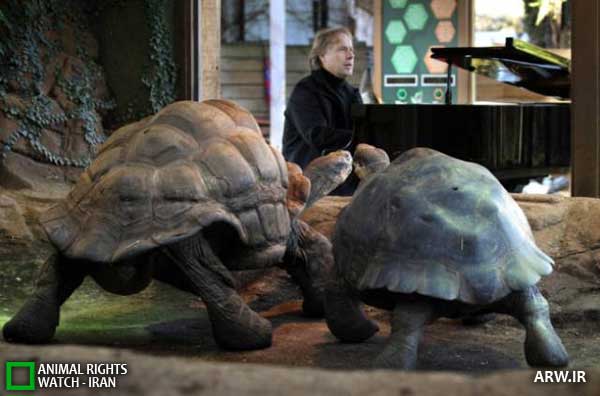 Animal-Rights-Watch--ARW-1-1308