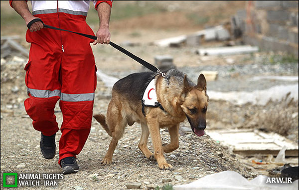 Animal-Rights-Watch--ARW-1-1317