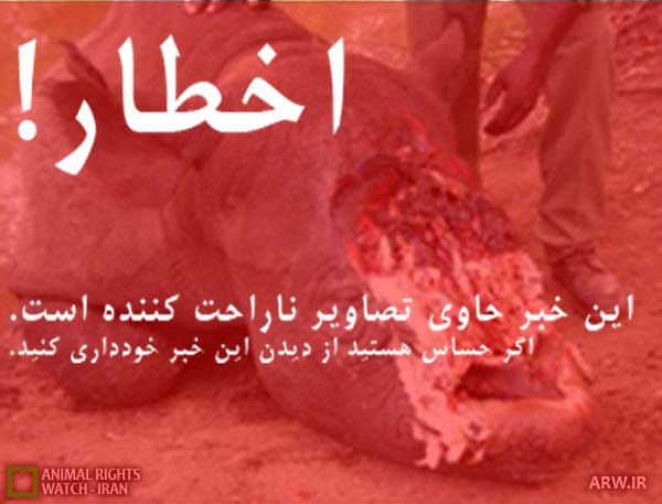 Animal-Rights-Watch--ARW-1-1356