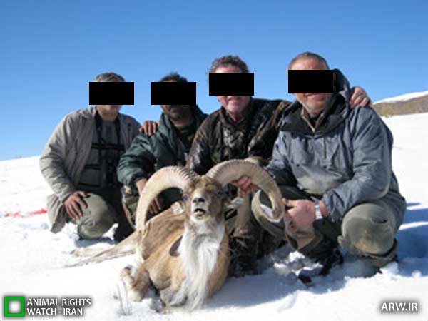 Animal-Rights-Watch-ARW-5583