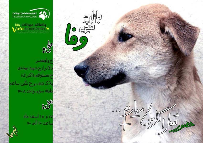Animal-Rights-Watch-ARW-5669