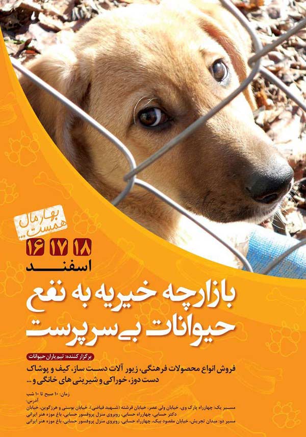 Animal-Rights-Watch-ARW-5671