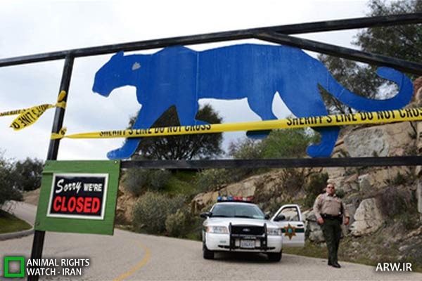 Animal-Rights-Watch-ARW-5708