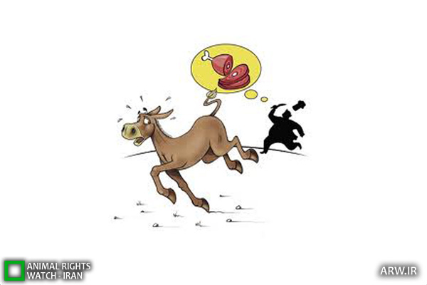 Animal-Rights-Watch-ARW-3420