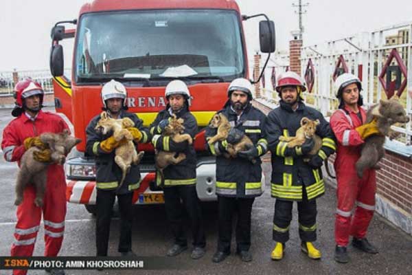 Animal-Rights-Watch-ARW-5745
