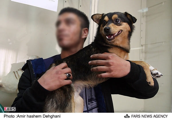 Animal-Rights-Watch-ARW-5758