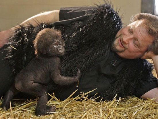 Animal-Rights-Watch-ARW-5763