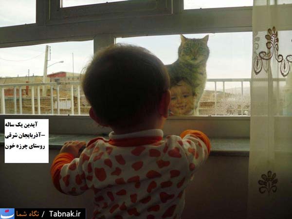 Animal-Rights-Watch-ARW-5783