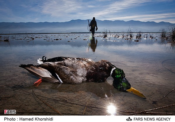 Animal-Rights-Watch-ARW-5824