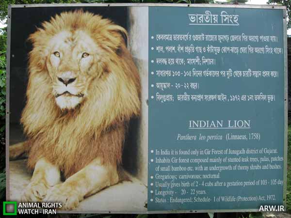 Animal-Rights-Watch-ARW-3132