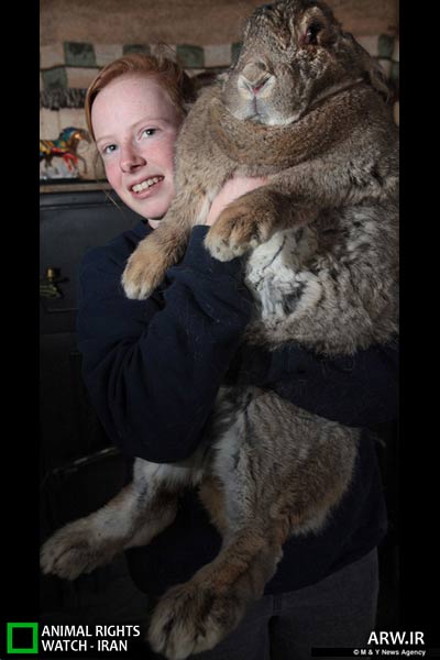 Animal-Rights-Watch-ARW-5880