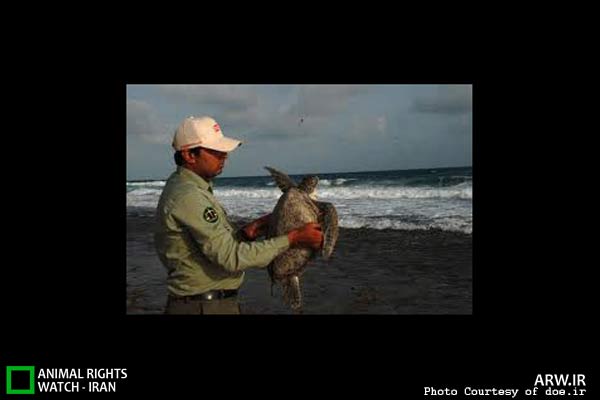 Animal-Rights-Watch-ARW-5900