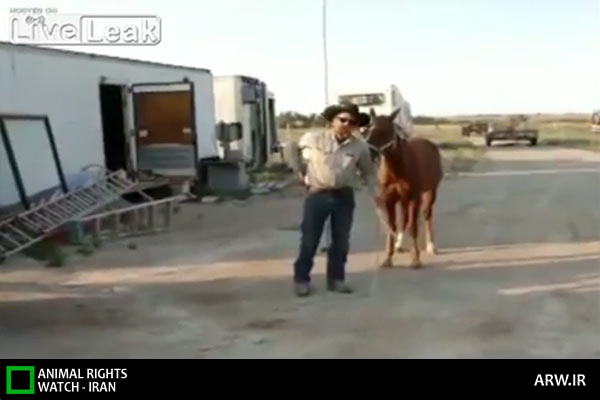 Animal-Rights-Watch-ARW-5968