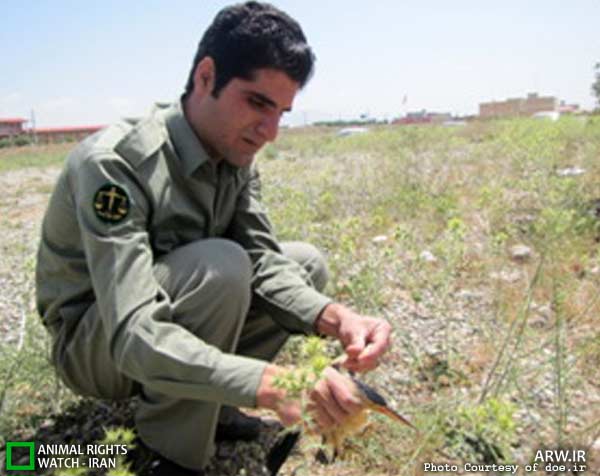 Animal-Rights-Watch-ARW-5991