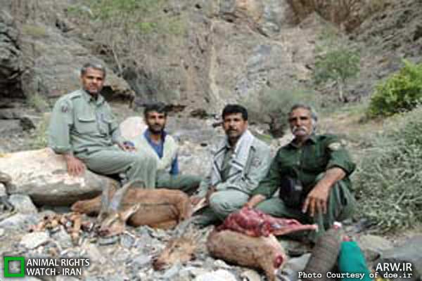 Animal-Rights-Watch-ARW-5994