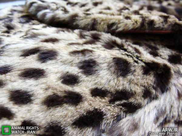 Animal-Rights-Watch-ARW-6023