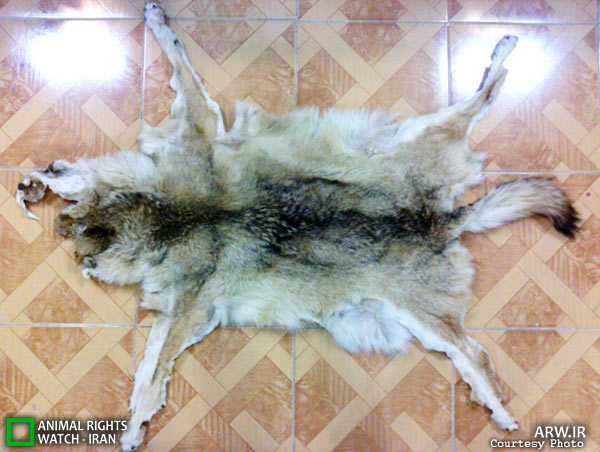 Animal-Rights-Watch-ARW-6025