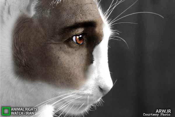 Animal-Rights-Watch-ARW-6030