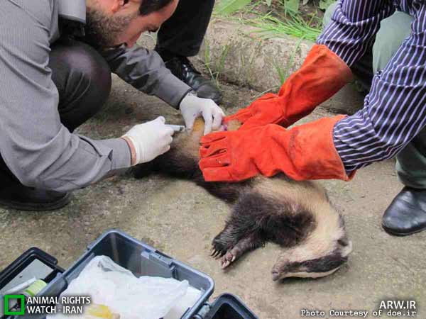 Animal-Rights-Watch-ARW-6045