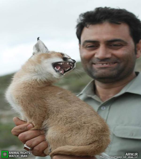 Animal-Rights-Watch-ARW-6085