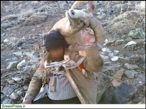 Animal-Rights-Watch-ARW-6106