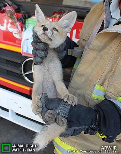 Animal-Rights-Watch-ARW-6108