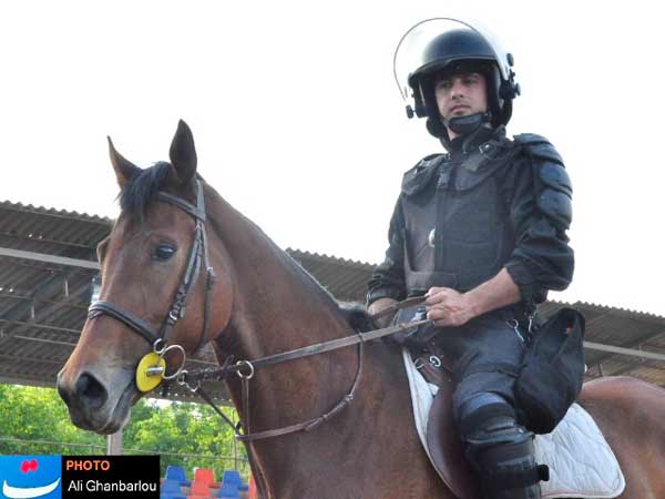Animal-Rights-Watch-ARW-6115