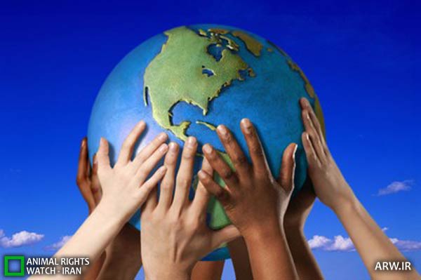 Animal-Rights-Watch-ARW-NGO