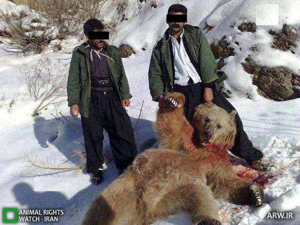 Animal-Rights-Watch-ARW-6921