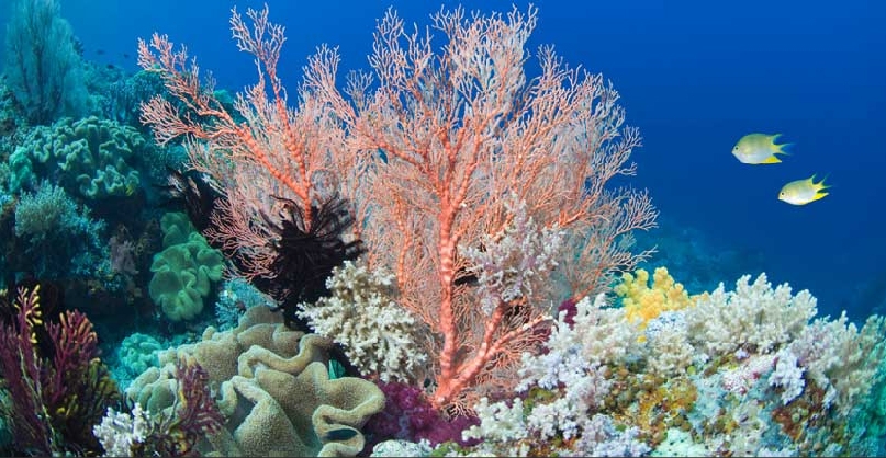 https://arw.ir/wp-content/uploads/2011/01/11-1-5-932156.jpg