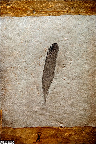 https://arw.ir/wp-content/uploads/2011/02/11-2-14-644583.jpg