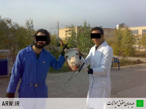 Animal-Rights-Watch-ARW-681