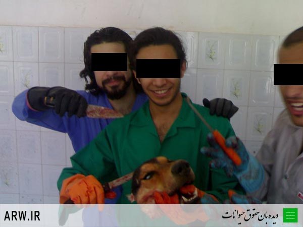 Animal-Rights-Watch-ARW-680