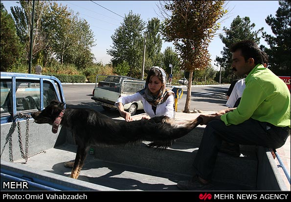 https://arw.ir/wp-content/uploads/2013/04/mehr-IMG09444436.jpg