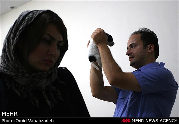 https://arw.ir/wp-content/uploads/2013/04/mehr-IMG09444603.jpg