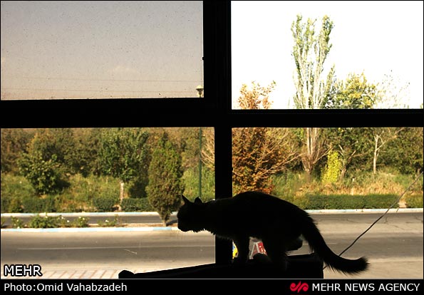 https://arw.ir/wp-content/uploads/2013/04/mehr-IMG09444767.jpg