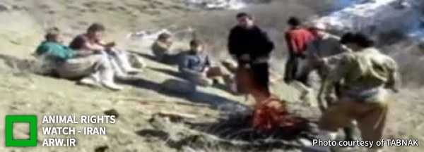 وقتی از ده شکارچی حتی یکی ارزش گونه در خطر انقراض را نمی‌داند! +فیلم