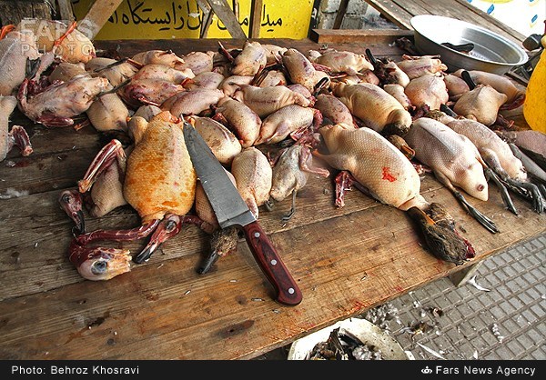 https://arw.ir/wp-content/uploads/2014/02/13921105104430350_PhotoL.jpg