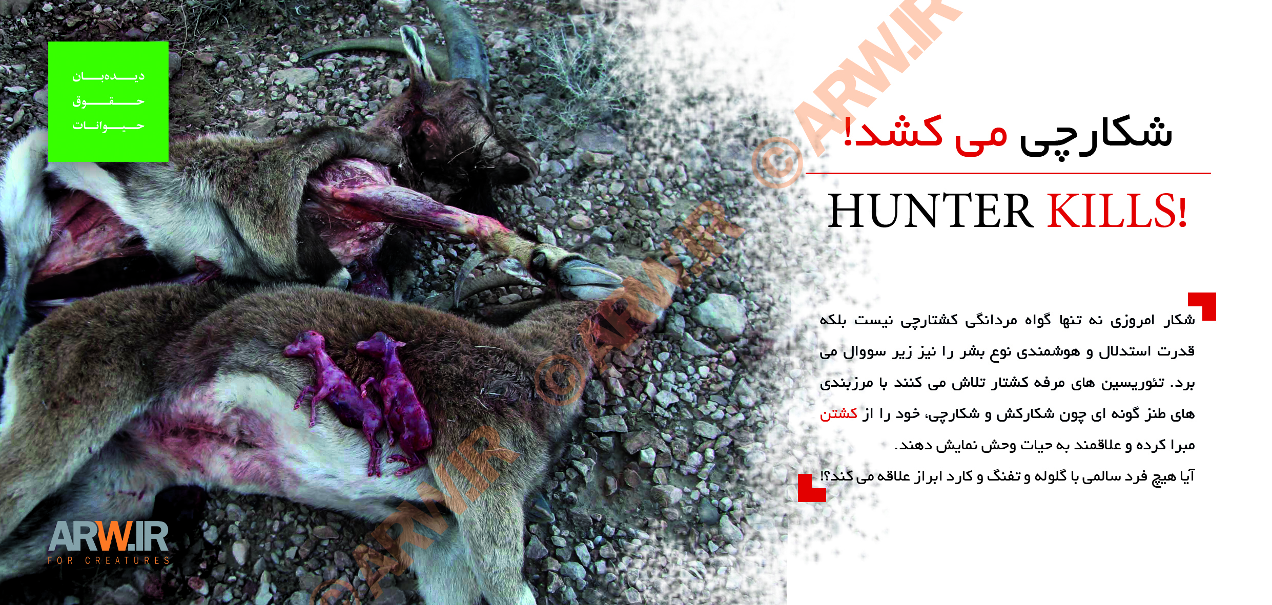 https://arw.ir/wp-content/uploads/2014/02/Animal-Rights-Watch-ARW-%20Factsheet%20Series%202d1.jpg