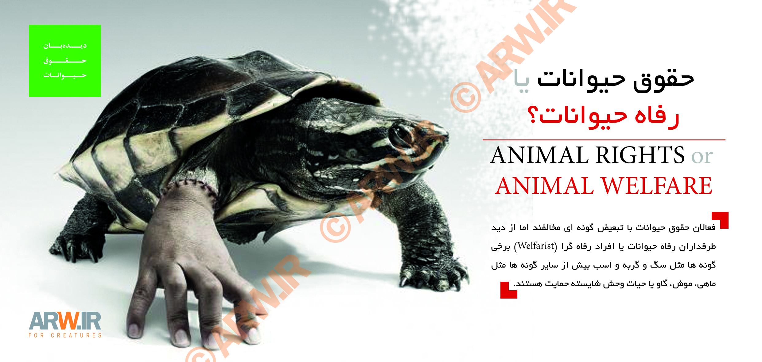 https://arw.ir/wp-content/uploads/2014/02/Animal-Rights-Watch-ARW-%20Factsheet%20Series%202e1.jpg