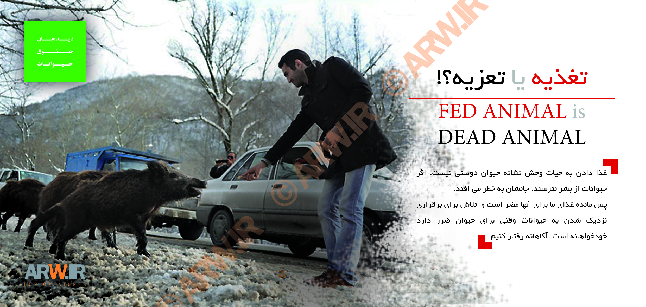 https://arw.ir/wp-content/uploads/2014/02/Animal-Rights-Watch-ARW-%20Factsheet%20Series%202f1.jpg