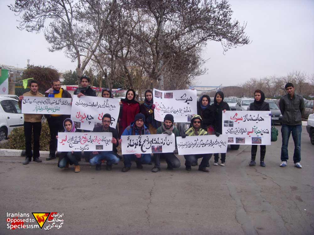 در تجمع مدنی در برابر اداره کل محیط زیست خراسان عنوان شد: مخالفت اکید مشهدی ها با هرگونه سیرک حیوانات/ تصویری