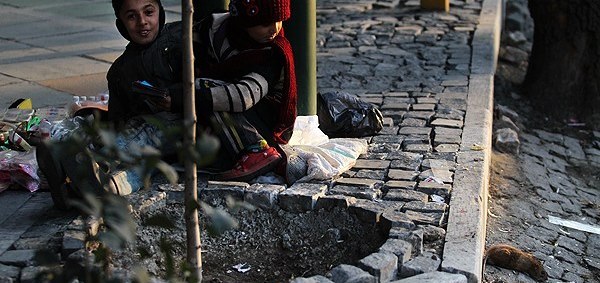 شش ماه دیگر تهران موش‌های میلیونی‌اش را نخواهد داشت؟!