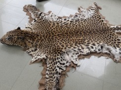 https://arw.ir/wp-content/uploads/2014/07/392027_433.jpg
