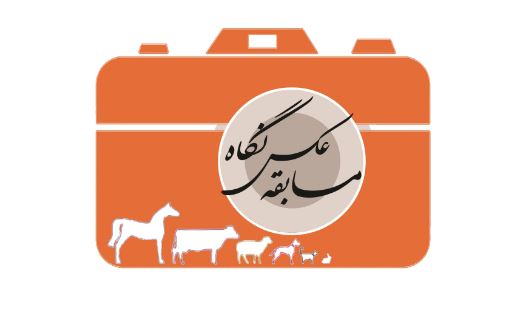 فراخوان نمایشگاه عکس نگاه با محور انسان و حیات وحش